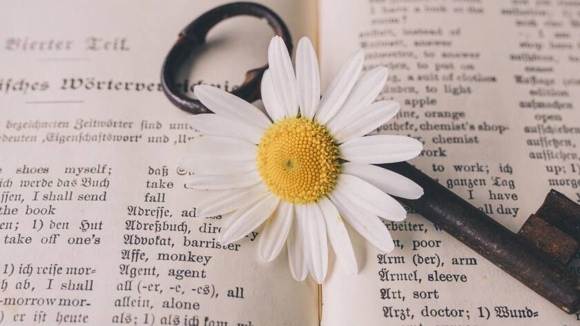 Breaking Language Barriers