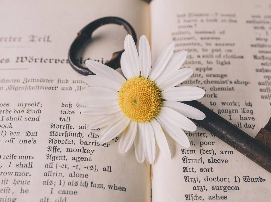 Breaking Language Barriers